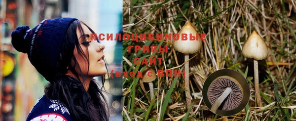 твердый Белокуриха