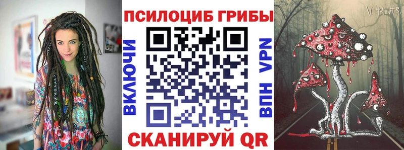 купить наркоту  Оха  Галлюциногенные грибы прущие грибы 
